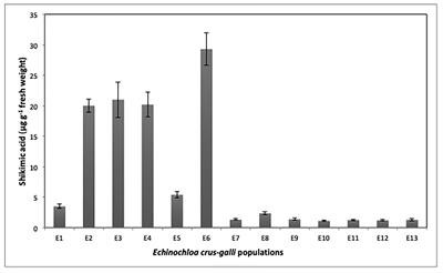 Distribution of Glyphosate-Resistance in Echinochloa crus-galli Across Agriculture Areas in the Iberian Peninsula